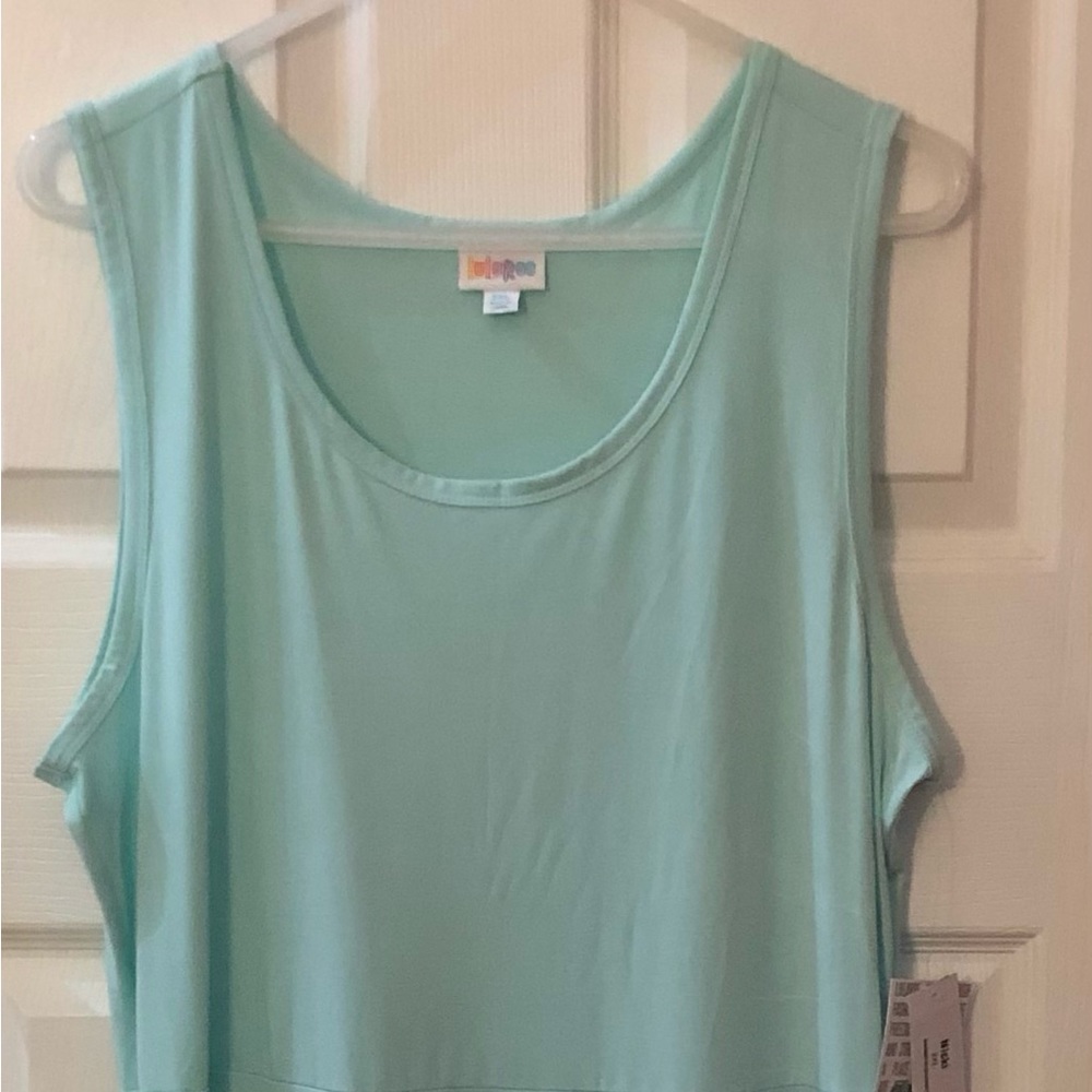 Lularoe 2XL Nicki Dress with Pockets Mint Green